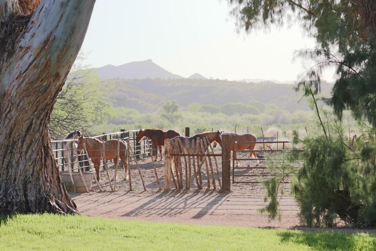 Kay El Bar Guest Ranch Hotell Wickenburg Exteriör bild