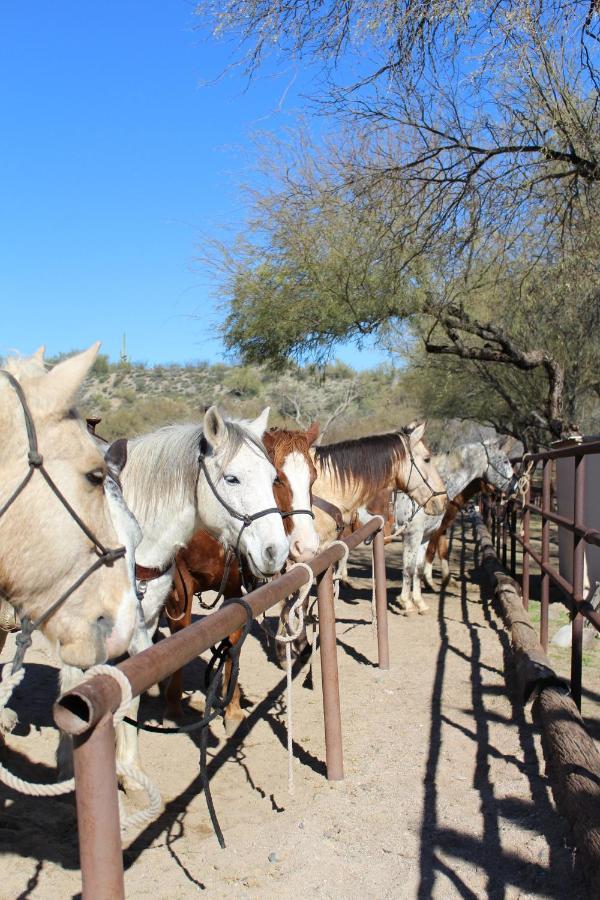 Kay El Bar Guest Ranch Hotell Wickenburg Exteriör bild