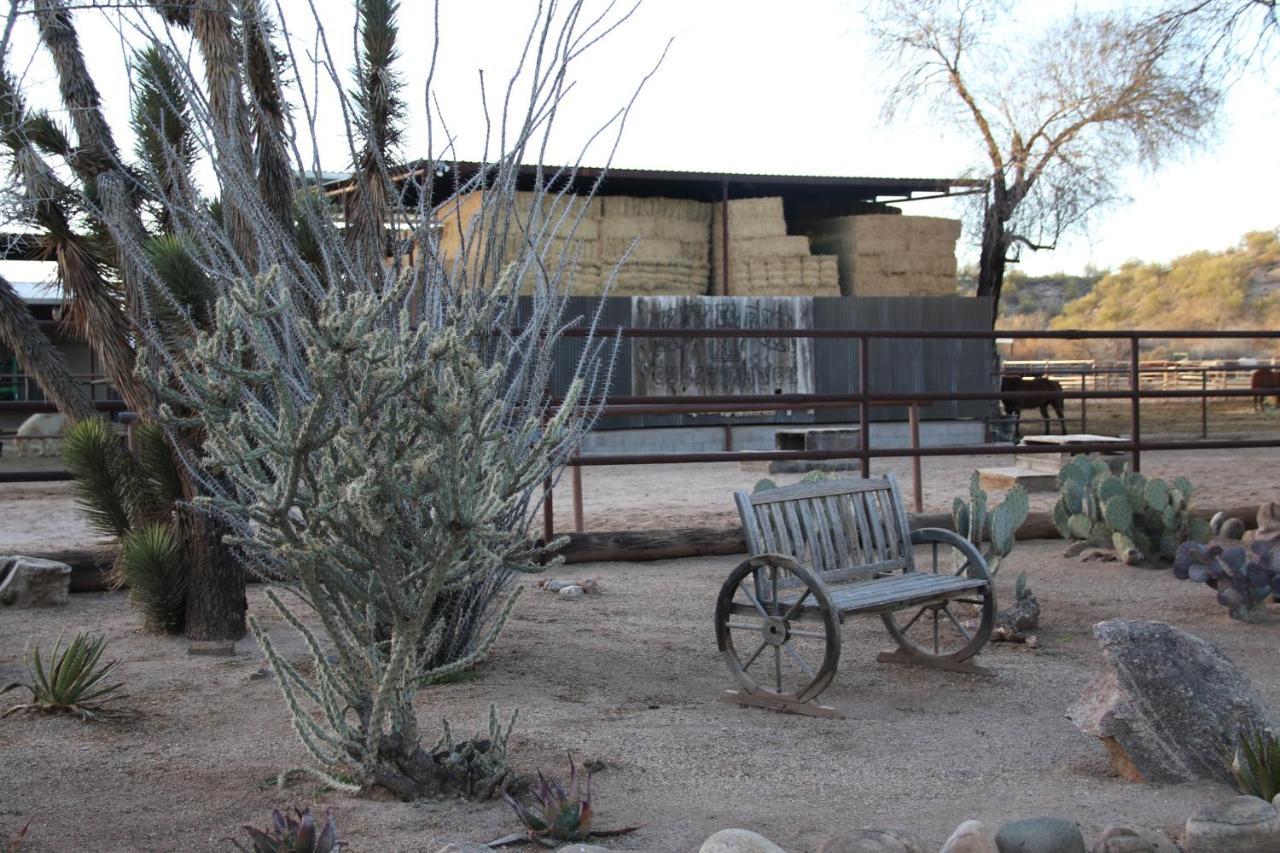 Kay El Bar Guest Ranch Hotell Wickenburg Exteriör bild