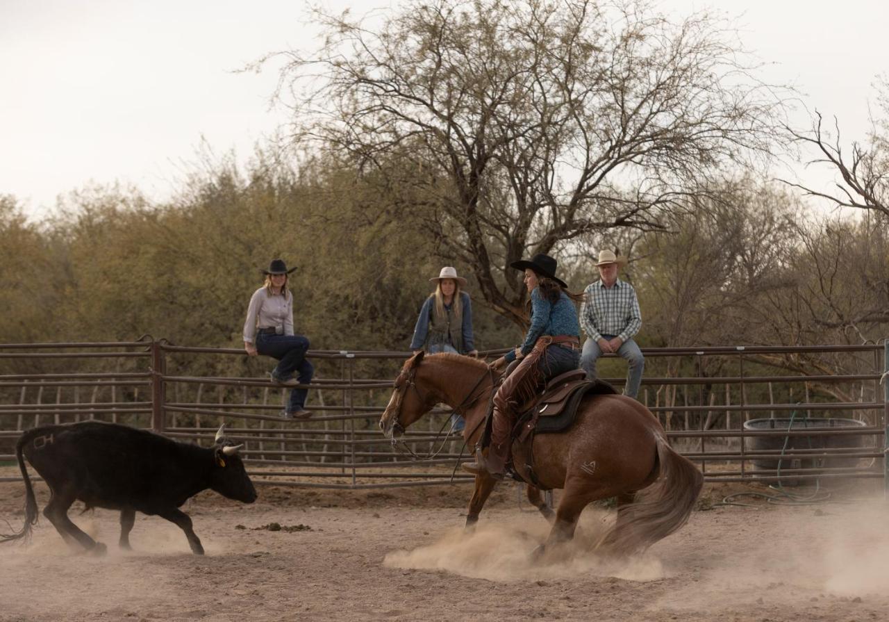 Kay El Bar Guest Ranch Hotell Wickenburg Exteriör bild
